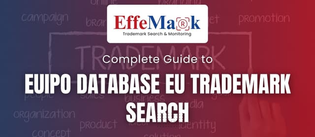 Photo inspiration: Visual Reference: Complete Guide To Euipo Database Eu Trademark Search